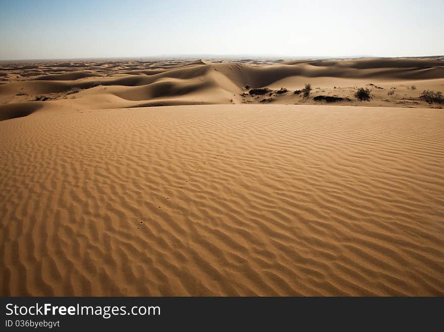 Dune on the desert.