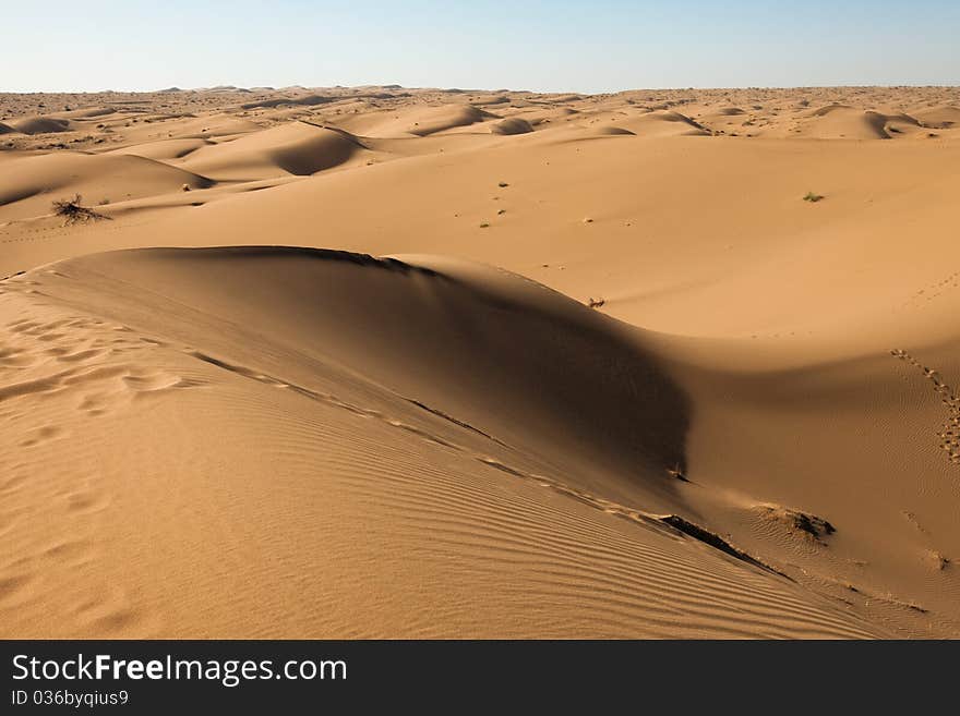 Dune on the desert.