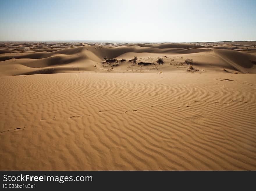 Dune on the desert.