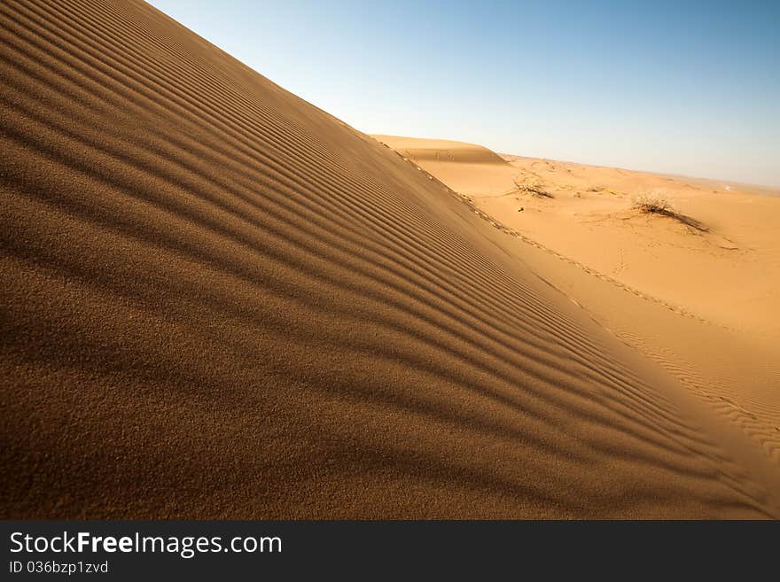 Dune On The Desert.