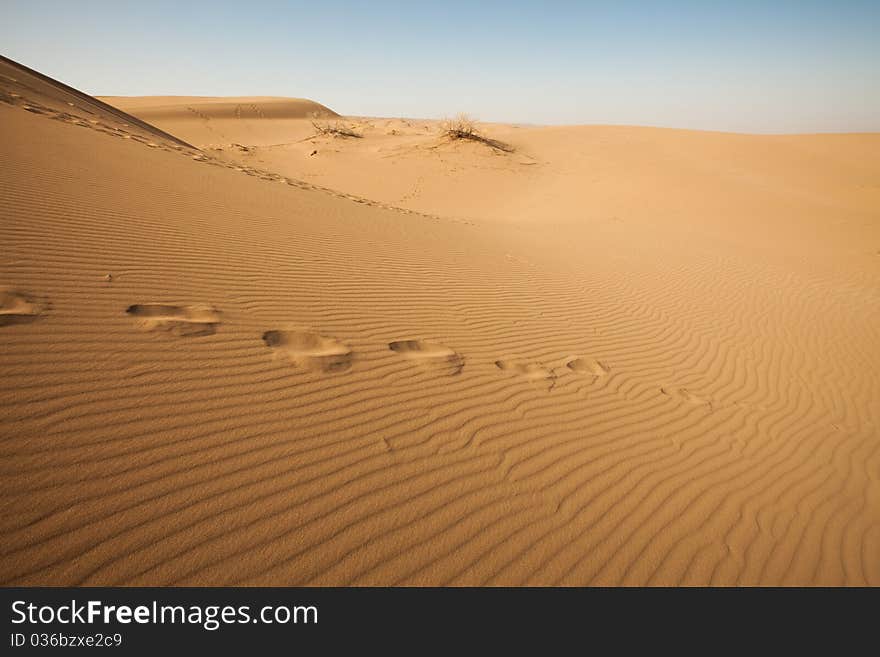 Dune on the dry desert. Dune on the dry desert.