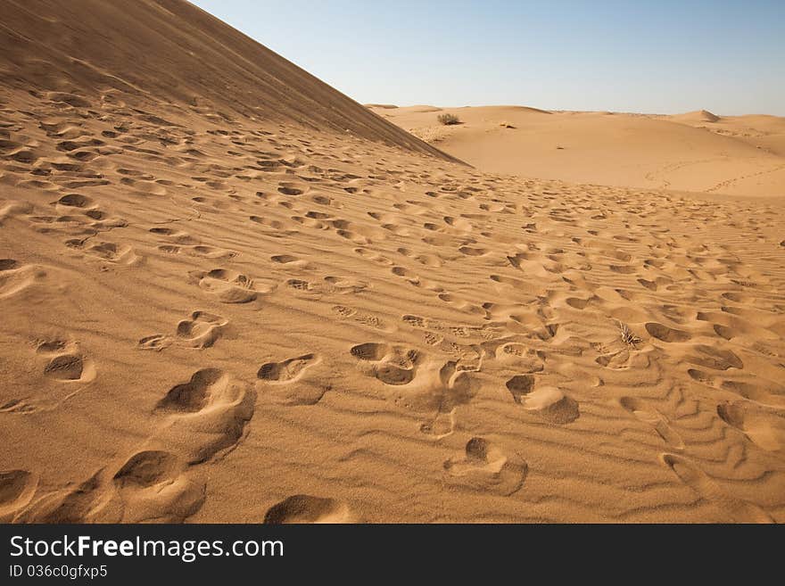 Dune on the dry desert. Dune on the dry desert.