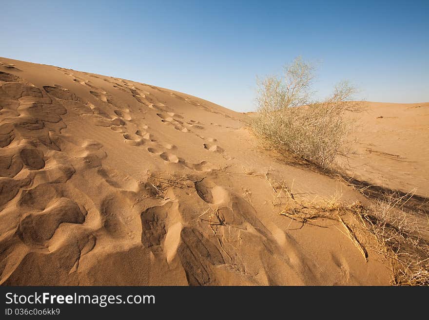 Dune on the dry desert. Dune on the dry desert.