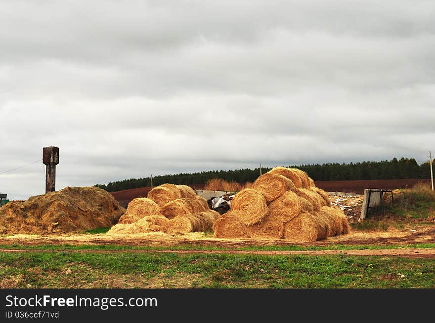 Farm, the stock of straw