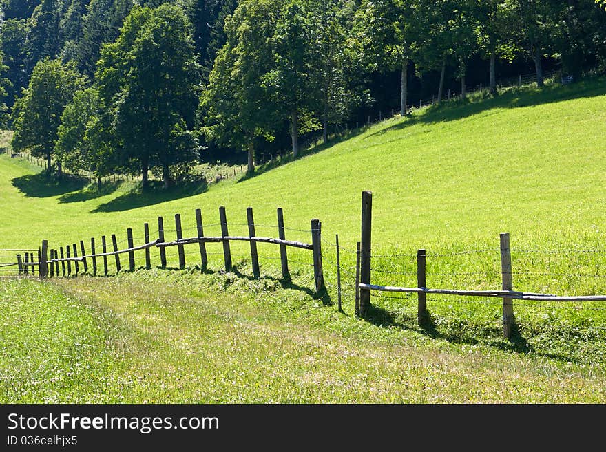 Mountain pasture meadows with fence