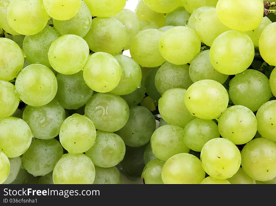 White grape