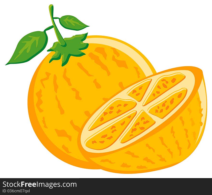 Fresh orange created by vector used it for icon of drink or food product