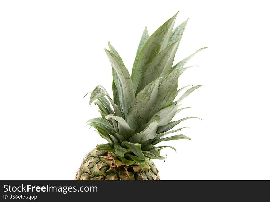 Pineapple with leaves