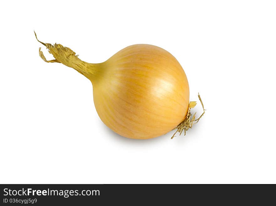 Onion