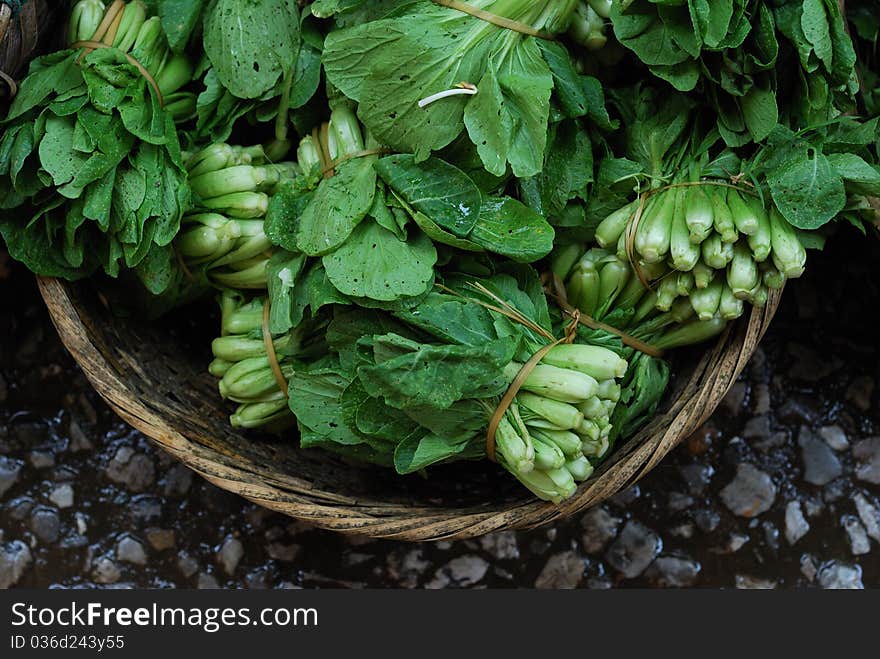 Green nature Chinese cabbage on market stall