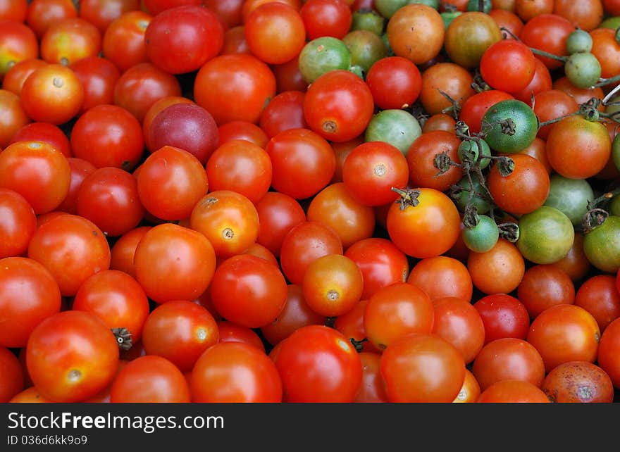 Red Tomatoes