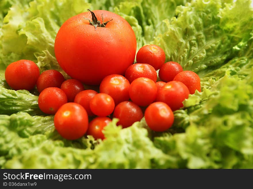 One classic tomato and some cherries. One classic tomato and some cherries