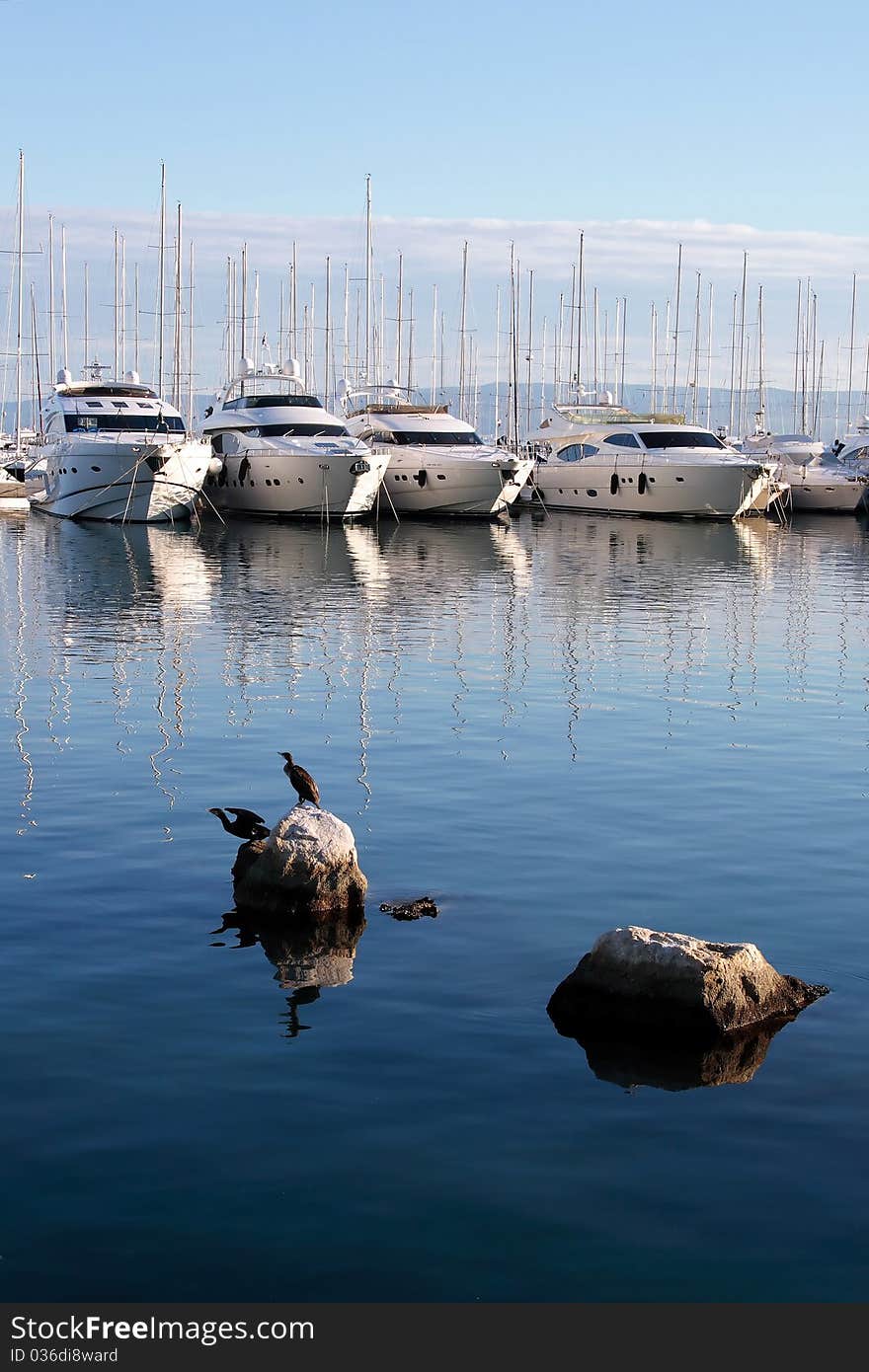 Couple of luxury yachts anchored in marine. Calm sea with two birds on rock in front. Couple of luxury yachts anchored in marine. Calm sea with two birds on rock in front.