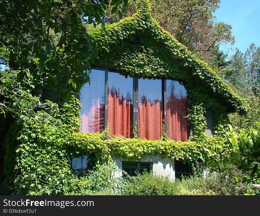 Cottage Window