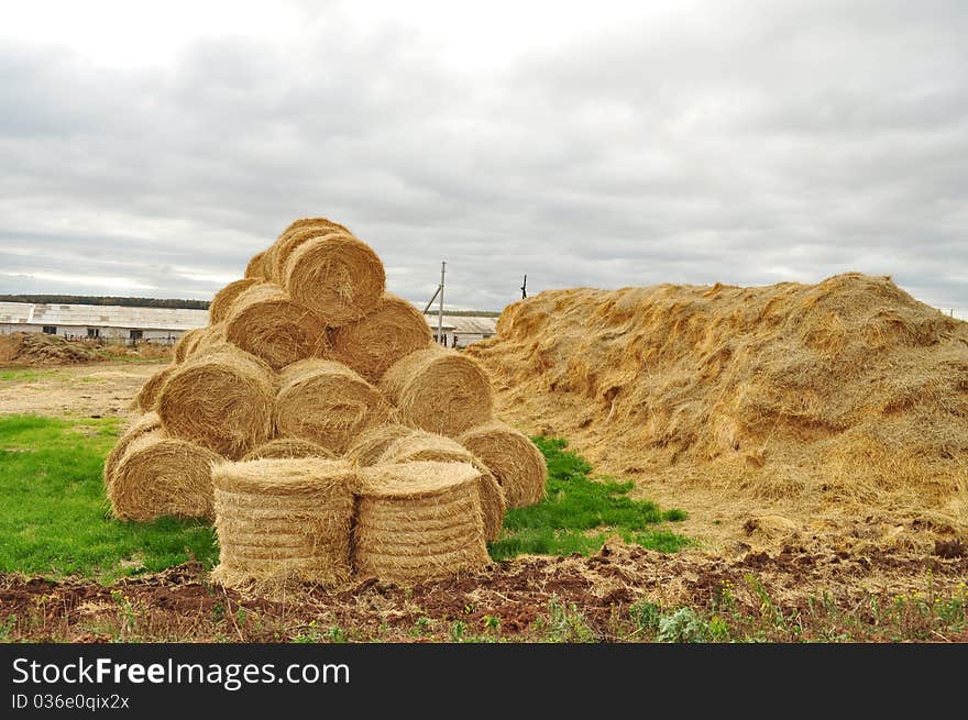 Farm, yellow haystack near bales of straw, after harvest, rural landscape, , harvest and large supply, lying on the ground, visible behind the woods and roof, green grass and sky with clouds. Farm, yellow haystack near bales of straw, after harvest, rural landscape, , harvest and large supply, lying on the ground, visible behind the woods and roof, green grass and sky with clouds