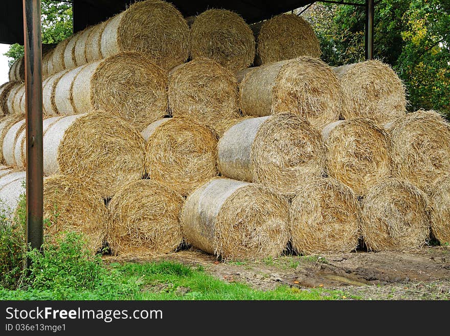 Circular Bales of Hay stored in an open sided barn. Circular Bales of Hay stored in an open sided barn