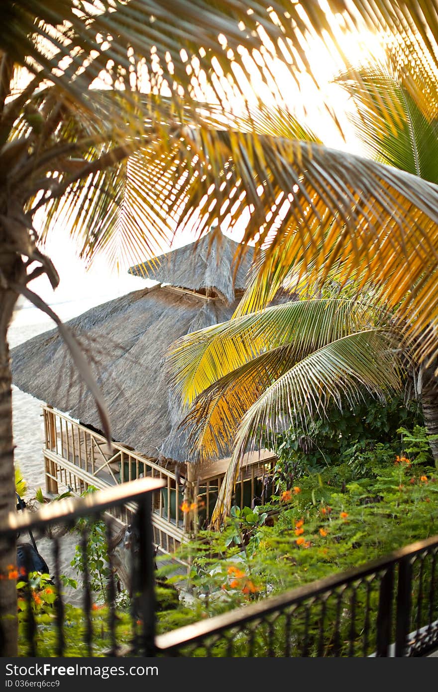 Hut on the beach in Saint Marteen with palm trees and floral. Hut on the beach in Saint Marteen with palm trees and floral