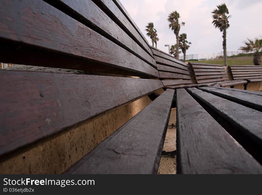 Wooden bench and palm in the park