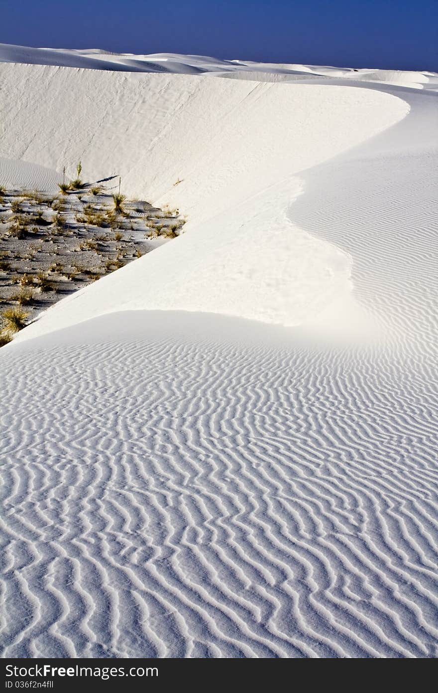 Morning in White Dunes National Monument