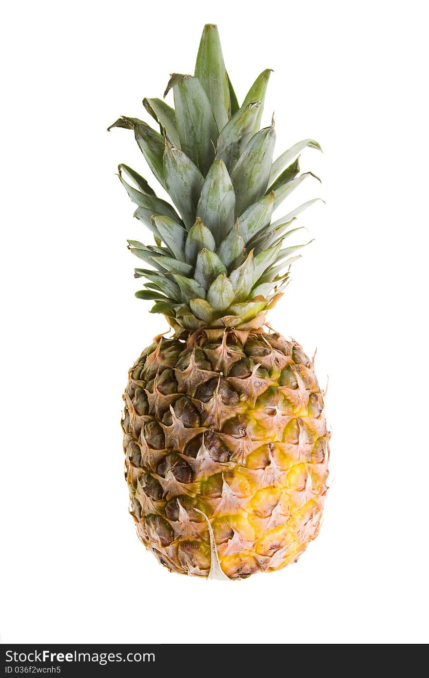 Pineapple