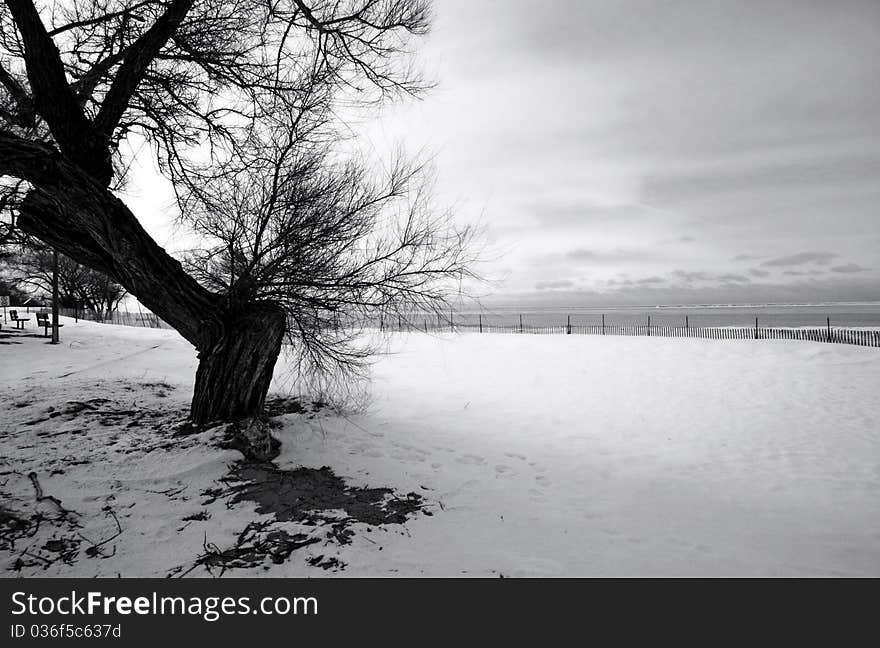 A winter view by the lake. A winter view by the lake