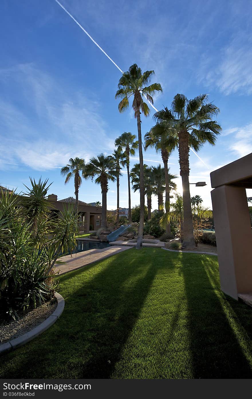 House with palm trees and bright blue sky