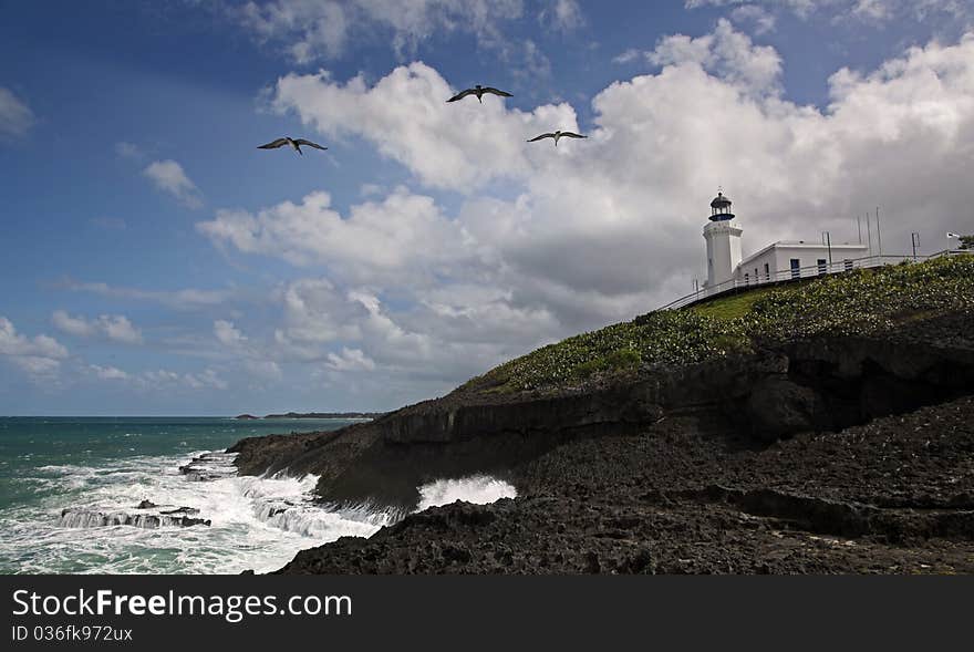 White lighthouse shining beam over dark skies, waves breaking over rocky shore, pelicans flying overhead. White lighthouse shining beam over dark skies, waves breaking over rocky shore, pelicans flying overhead