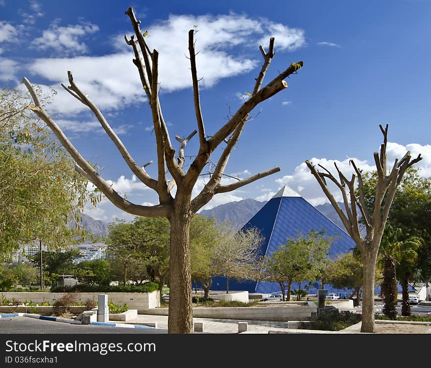 Cutting Tree And Modern Building