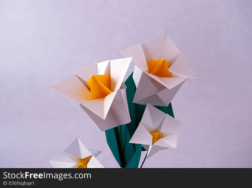 Paper flower, or origami folded and shaped in Texas Bluebell, Tulip