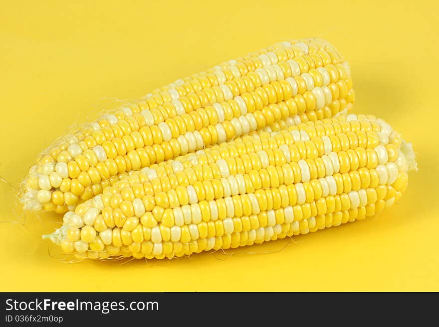 Colorful traditional Thanksgiving corn, isolated on yellow