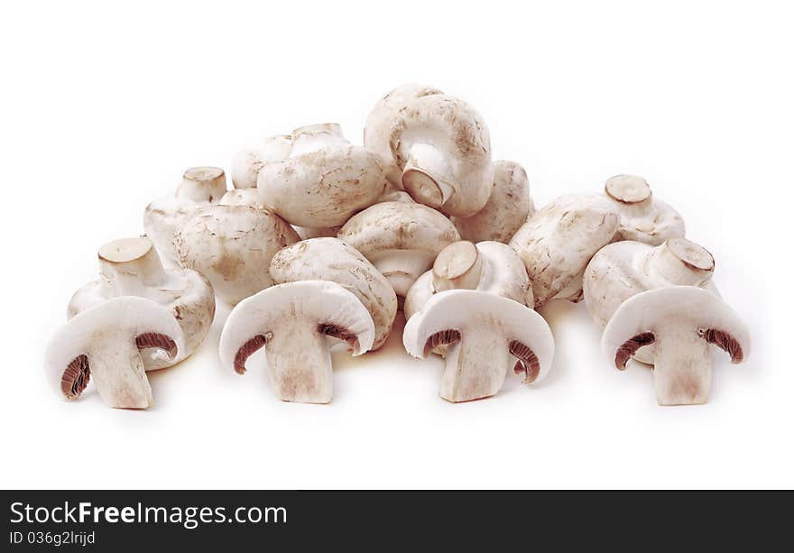 Group of fungus on the white surface, horizontal photo. Group of fungus on the white surface, horizontal photo.