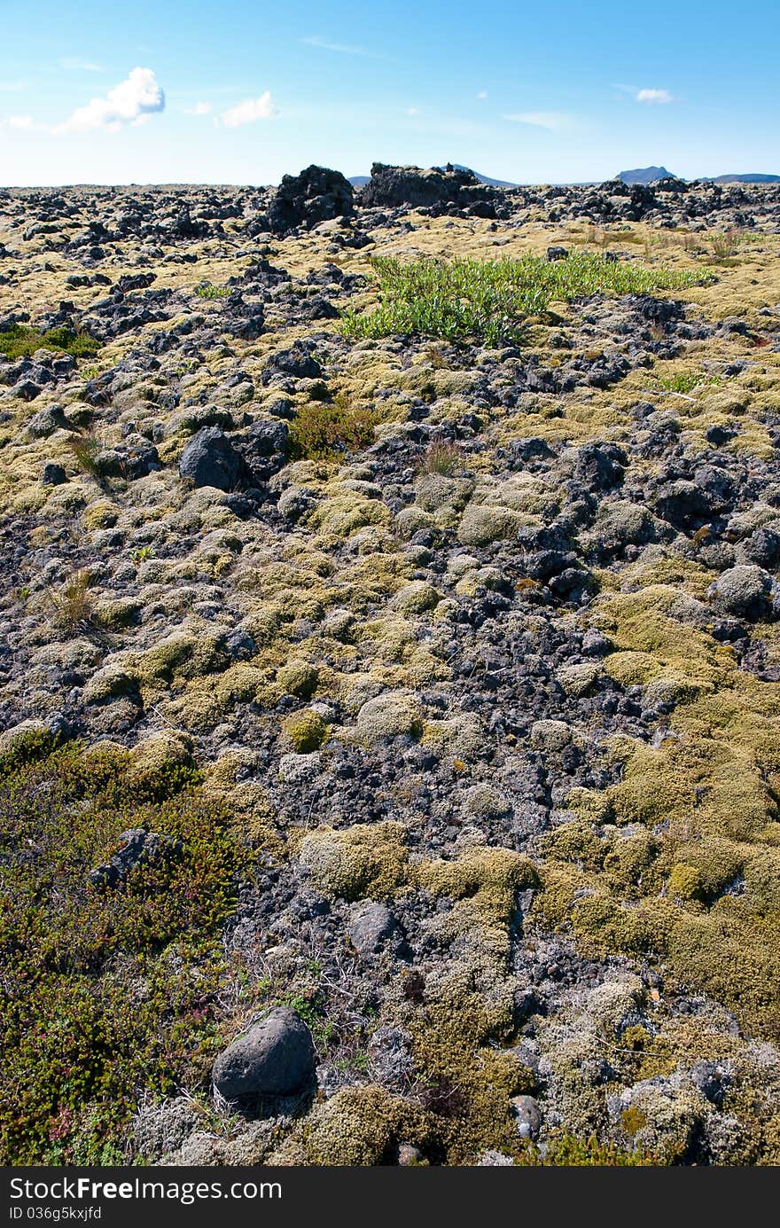 Icelandic landscape