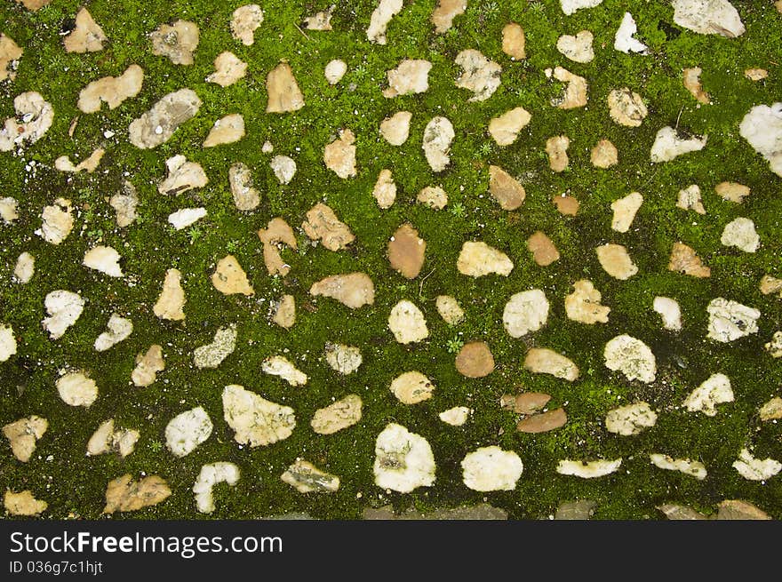 A diversity of cobble stones in green moss in an old european town.