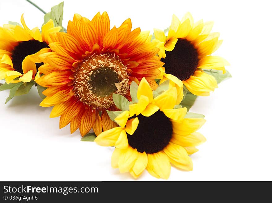 Branch with sunflowers