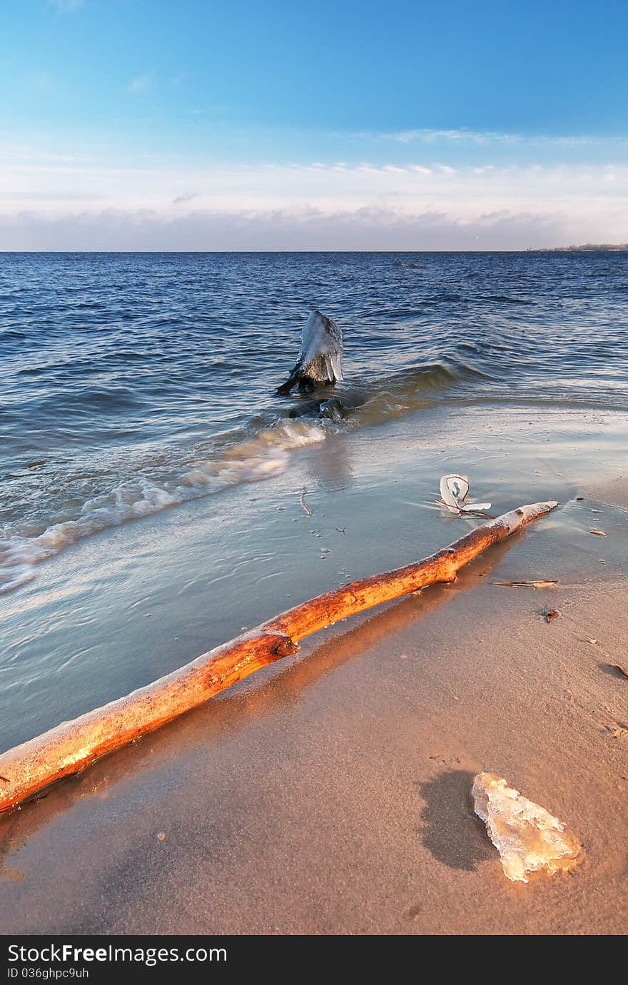 Sea and winter. Composition of nature.