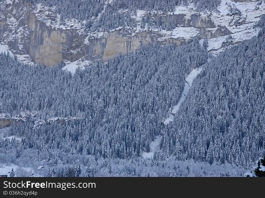 Winter Landscape