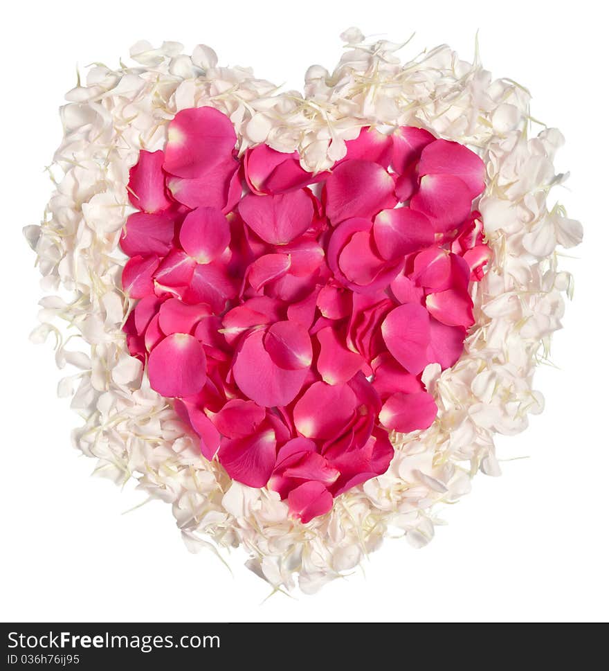 Pink rose petals heart inside cream on white with clipping path. Pink rose petals heart inside cream on white with clipping path