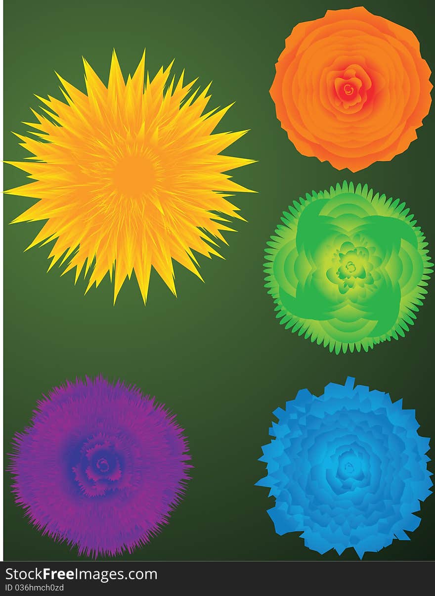 Five color flowers in green background