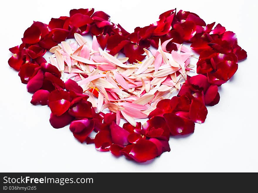 Framework in the form of the heart made of red roses. Framework in the form of the heart made of red roses.