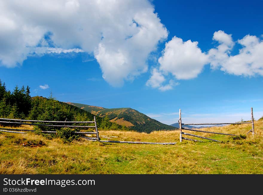 Summer landscape in mountains