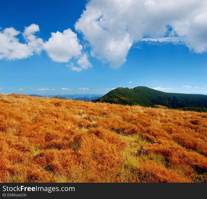 Summer landscape in mountains with the cloudy sky