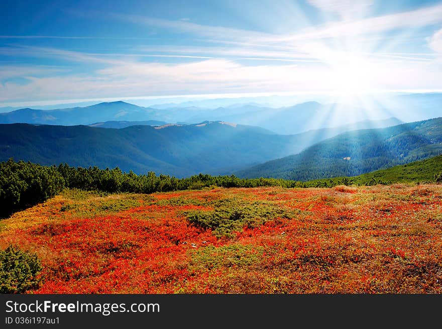 Summer landscape in mountains with the cloudy sky