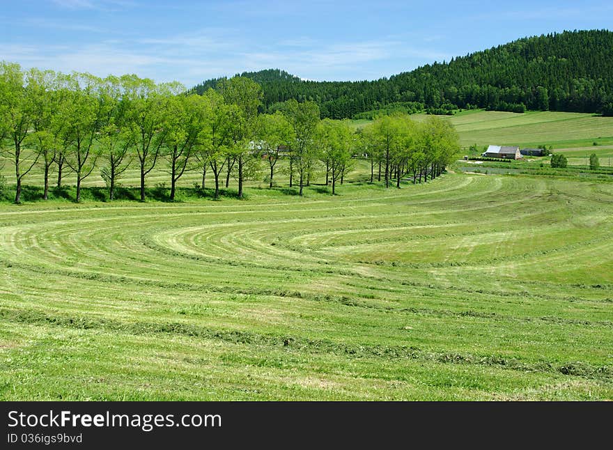 Fresh field