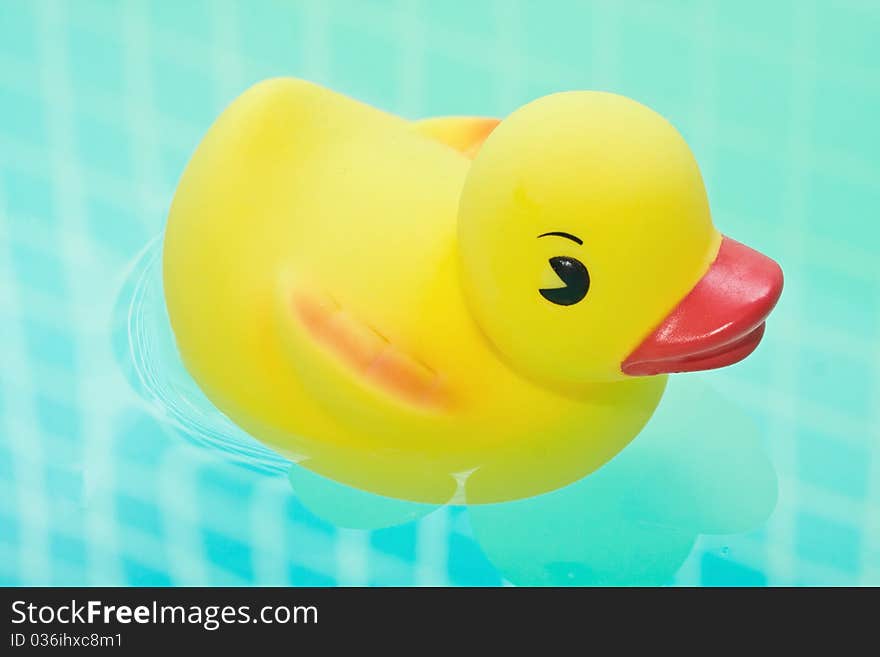 Rubber duck in bath bathroom splashing in water