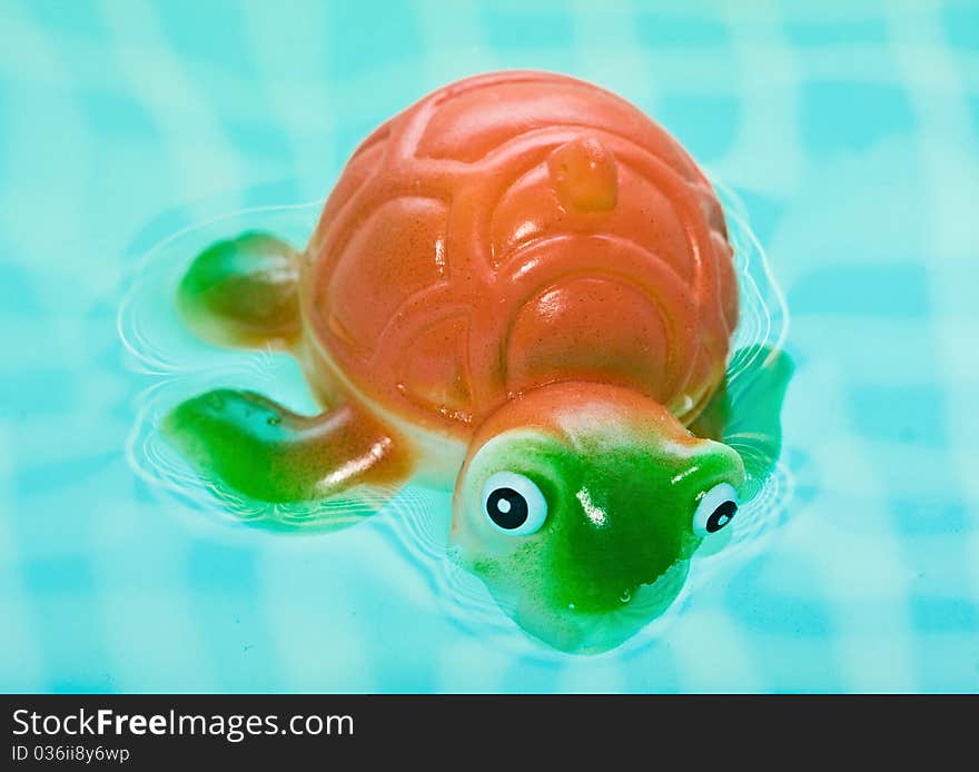 Turtle in bath bathroom splashing in water. Turtle in bath bathroom splashing in water