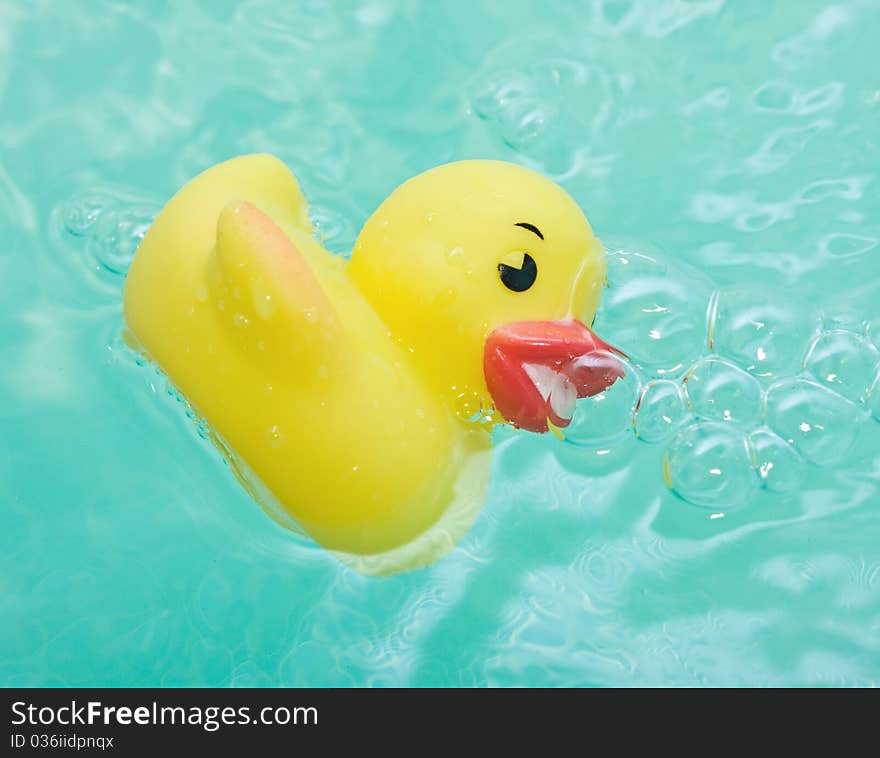 Rubber duck in bath bathroom splashing in water