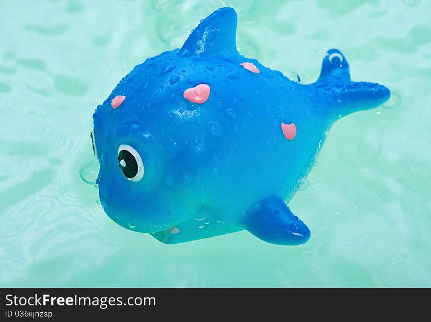 Fish  in bath bathroom splashing in water