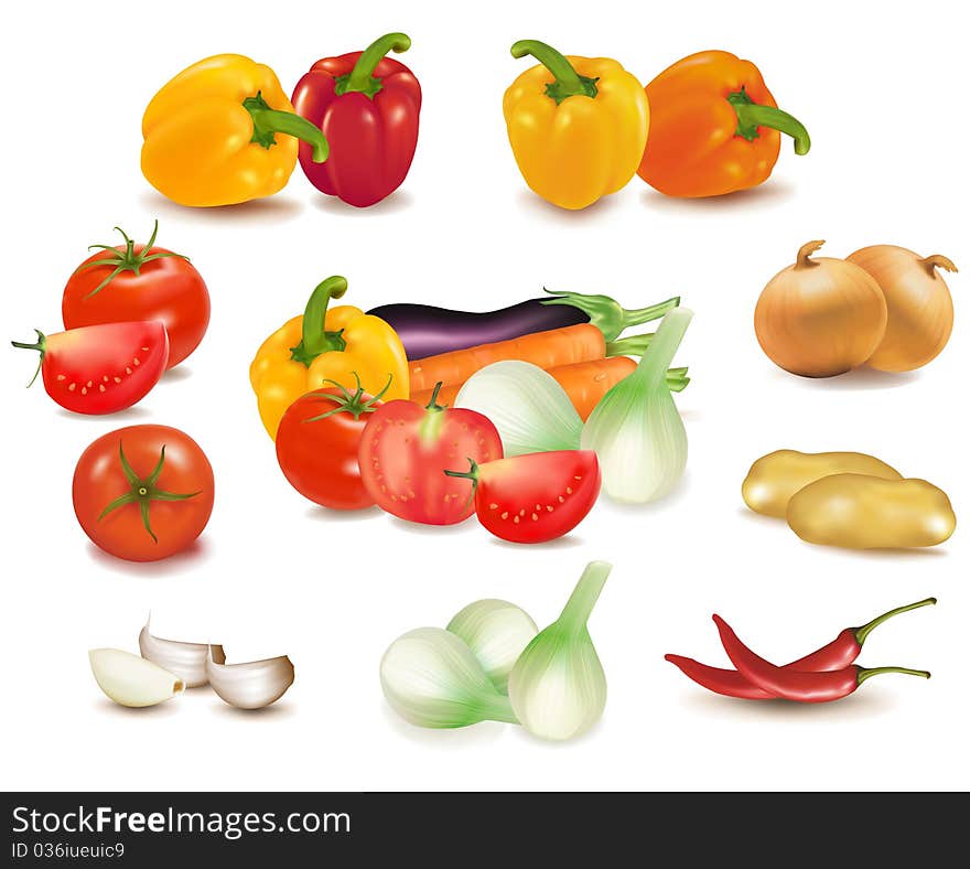 The big colorful group of vegetables. Photo-realistic .