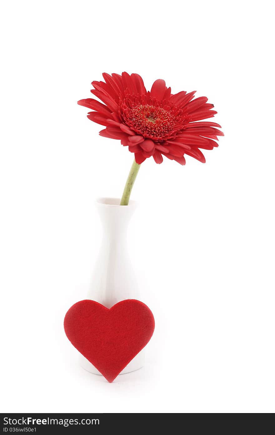 Red gerbera in vase isolated on white. Red gerbera in vase isolated on white