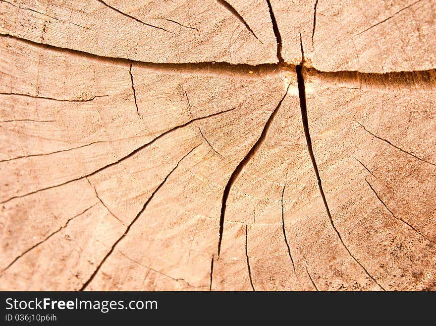 Close up crack on the teak. Close up crack on the teak